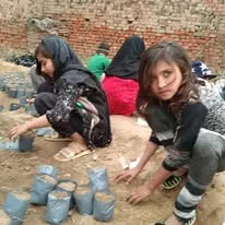 Green Seekers Activity